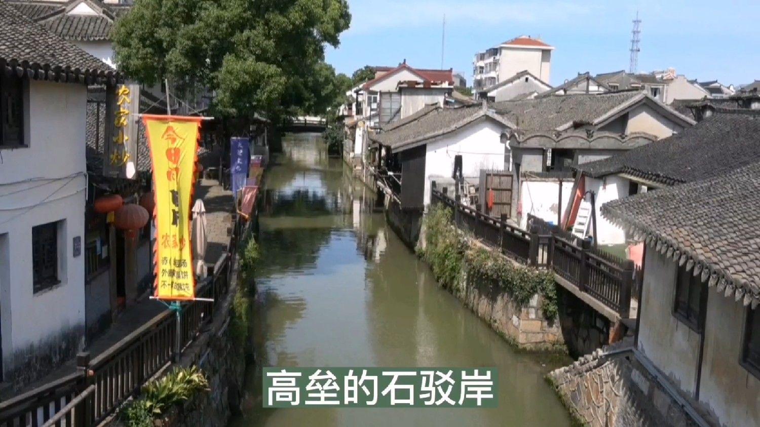 苏菲亚安伯时装秀